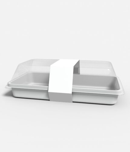 Food packaging box mockup