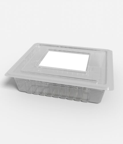 Flexible packaging disposable plastic box fruit mockup 603530