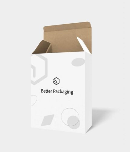 Tuck end boxes reverse aircraft-type mockup 100107