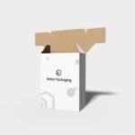 Tuck end box variations hidden lock buckles auto bottome snap lock boxes mockup 101720