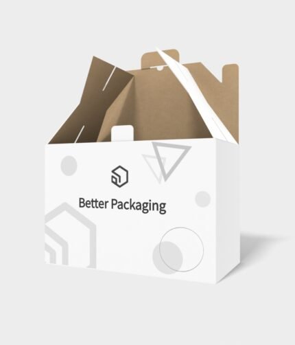 Dust-proof locking mailer box mockup