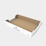 Tray boxes paper display mockup 120280
