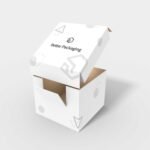Window cartons corrugated boxes with lid mockup 160021