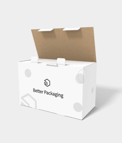 Cartons security buckles double safety buckle mockup 202010