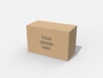 Shipping box for buffer mockup