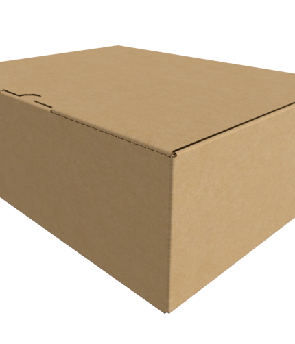 Cardboard mailer box with lock mockup