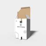 Polygonal boxes pentagon snap lock mockup 188170