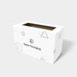 0209 regular paper shipping cartons mockup