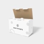 Cartons security buckles double safety buckle mockup 202010